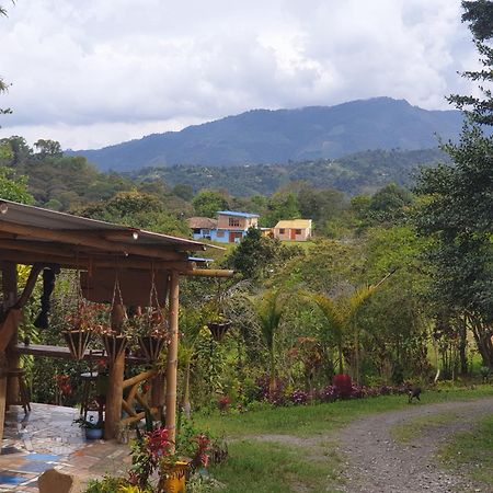 Eco Hotel Manu Viajeros San Agustin Bagian luar foto