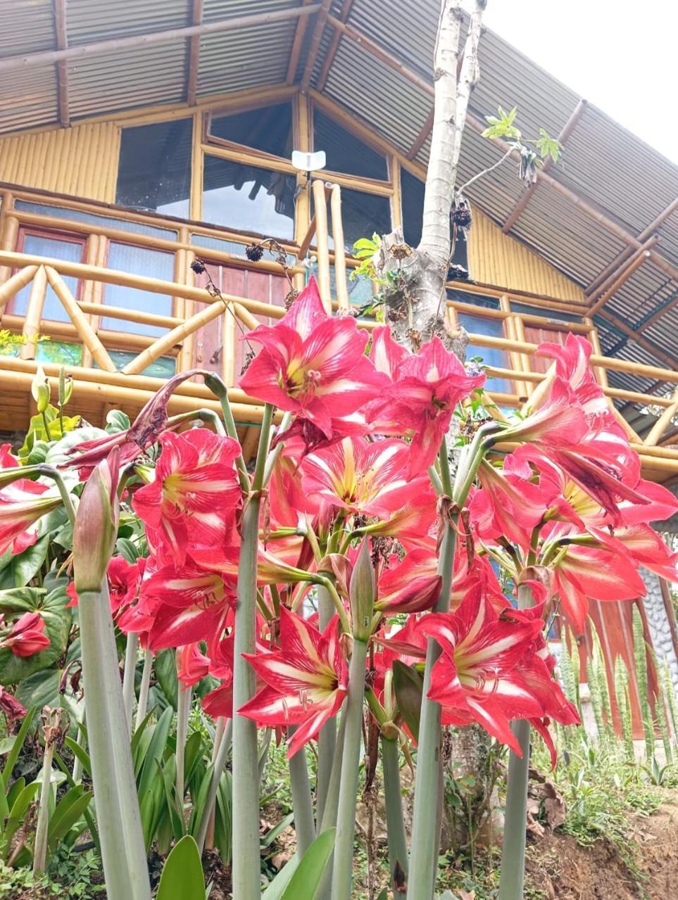 Eco Hotel Manu Viajeros San Agustin Bagian luar foto